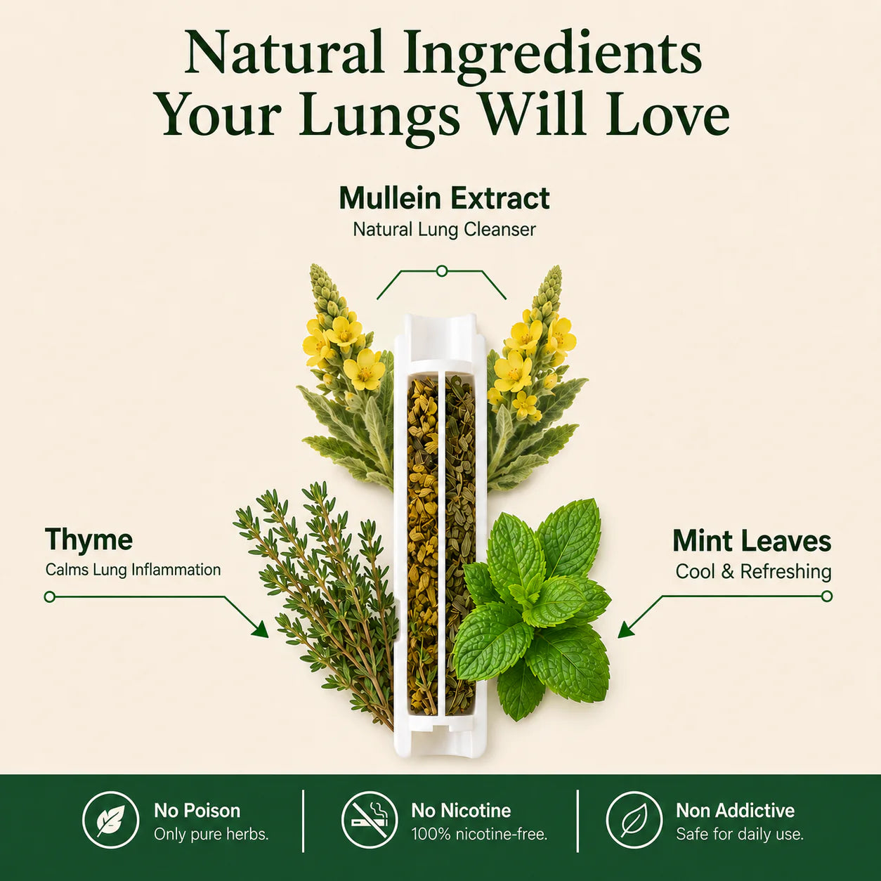 Ryvane™ Mullein Lung Diffuser
